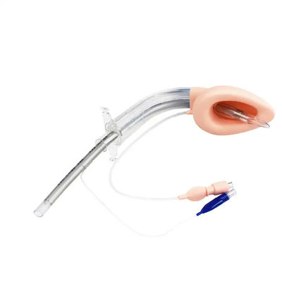 kupować Podwójny Lumen Silicone Laryngeal Mask Urządzenie dróg oddechowych Rozmiar 2.5 Pozwól 12Fr cewnik produkcja internetowa
