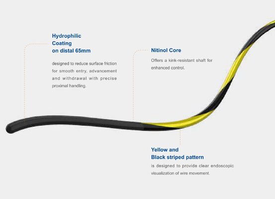 kupować Zebra Nitinol Core Guidewire Precyzja, elastyczność i trwałość dla zaawansowanych procedur interwencyjnych produkcja internetowa